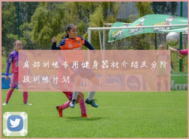 肩部训练专用健身器材介绍及分阶段训练计划