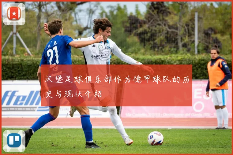 汉堡足球俱乐部作为德甲球队的历史与现状介绍