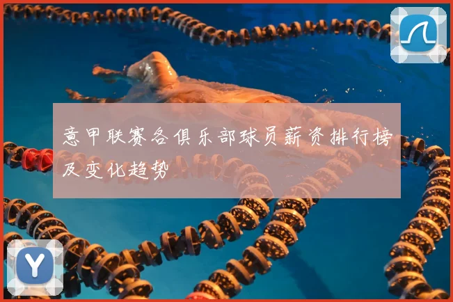 意甲联赛各俱乐部球员薪资排行榜及变化趋势